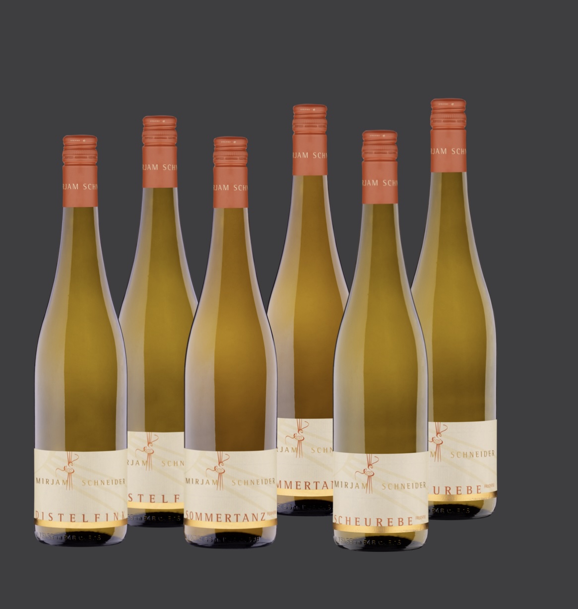 <br>Nr.: P F<br>Paket Frühlingsboten<br>2025 Distelfink Scheurebe trocken (2x)<br>2025 Sommertanz Scheurebe feinherb (2x)<br>2025 Scheurebe Gutswein fruchtig (2x)<br>